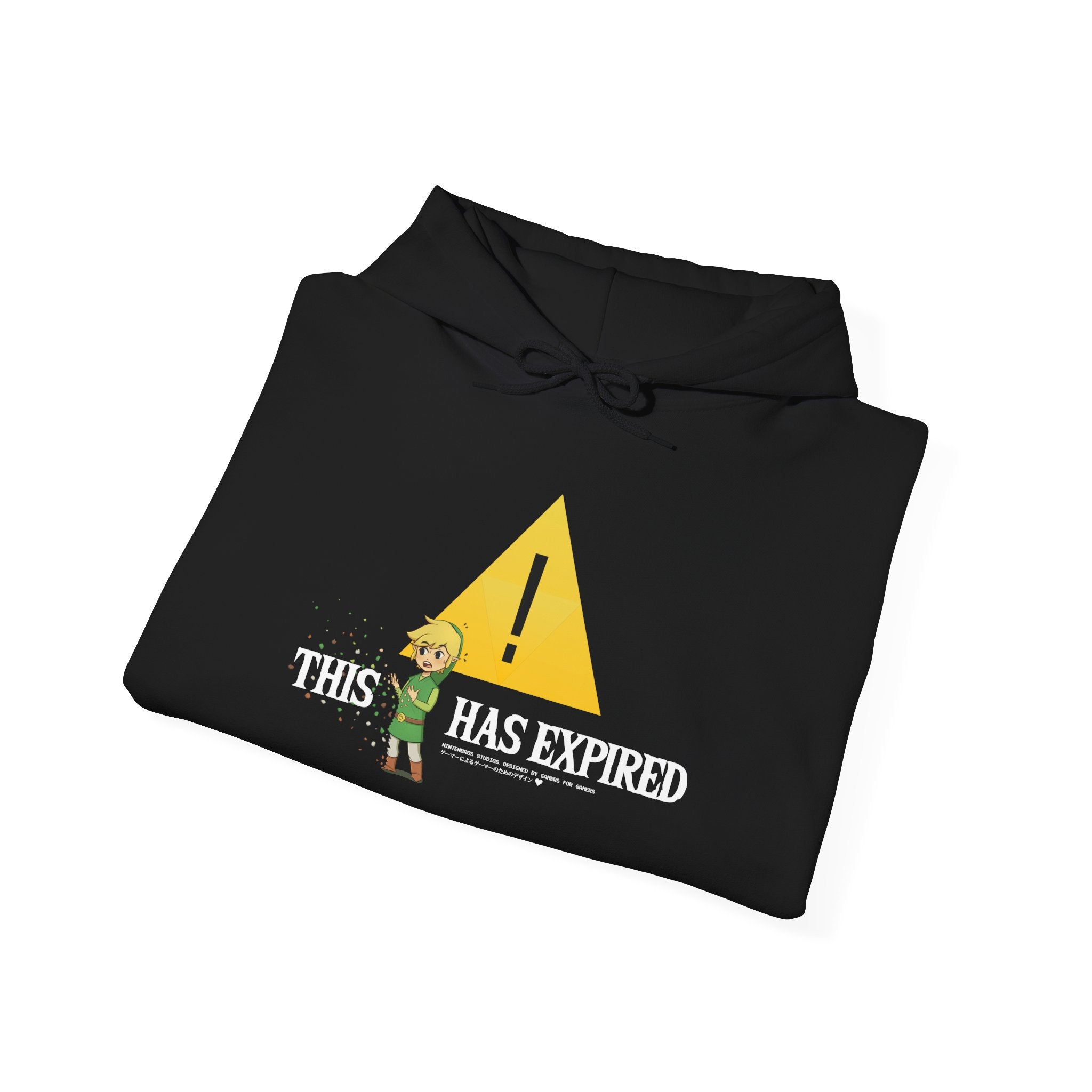 This Link Has Expired Hoodie / Hi-Ruler